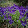 DSC00255