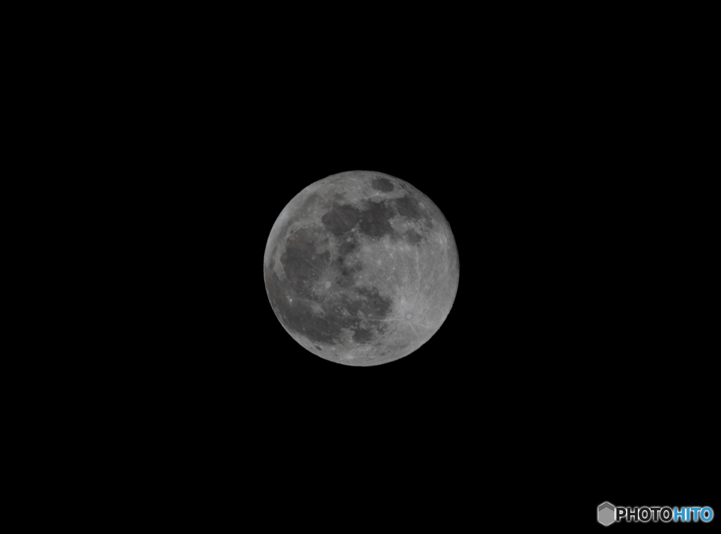 DSC00246-1