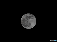 DSC00246-1