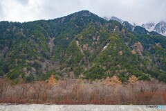 DSC_0112-1