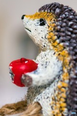 DSC_0669-2