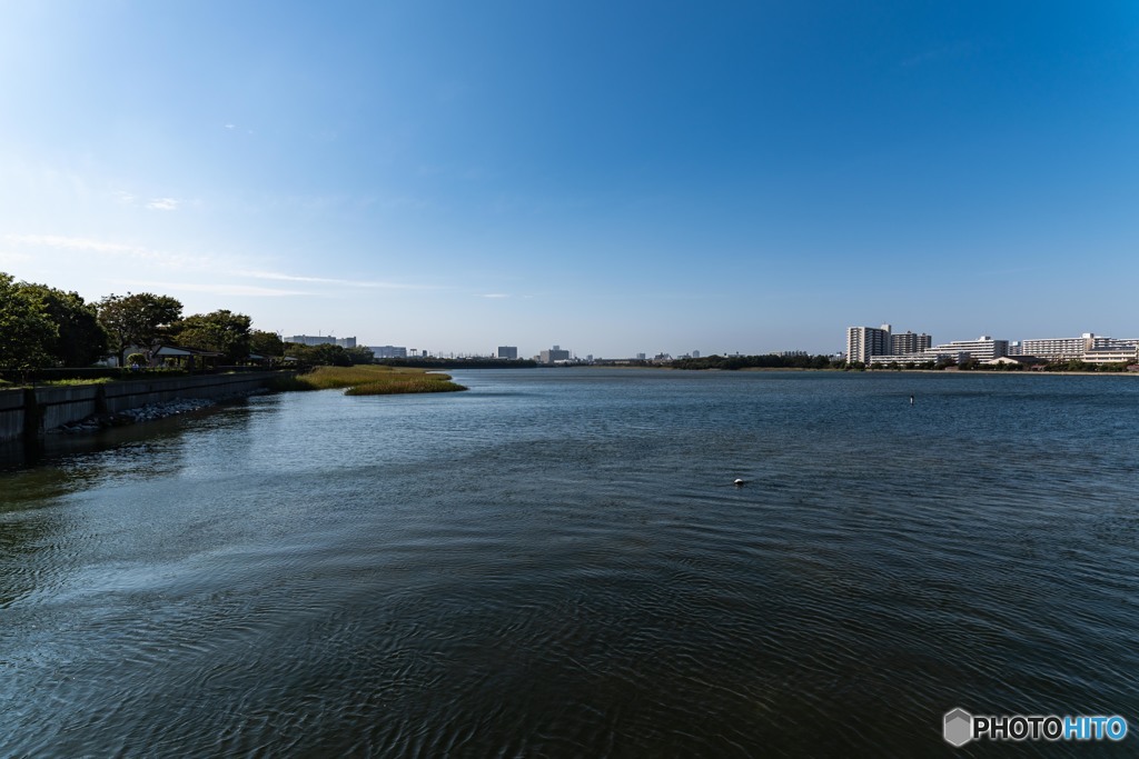 DSC_4228-1