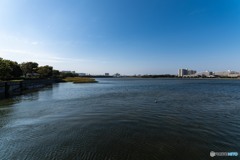 DSC_4228-1