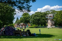 DSC_1909-1