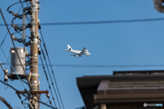 DSC_2960-3