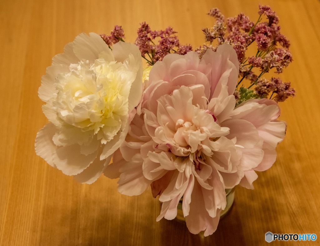 DSC_5490-1