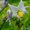 DSC01648-1
