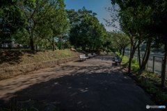 DSC_4227-1