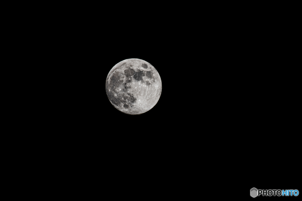 DSC_4779-1