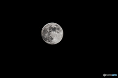 DSC_4779-1