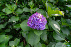 DSC01580-1