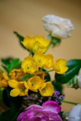 DSC_0503-1-2