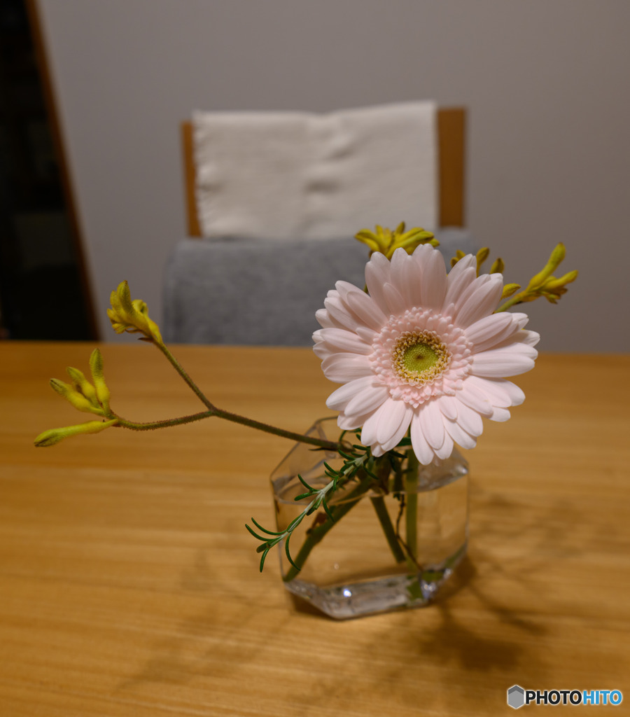 DSC_0407-1
