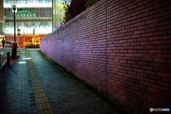 DSC_2848-1