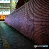 DSC_2848-1