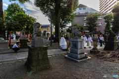 DSC_4002-1