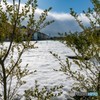 DSC_0508-2