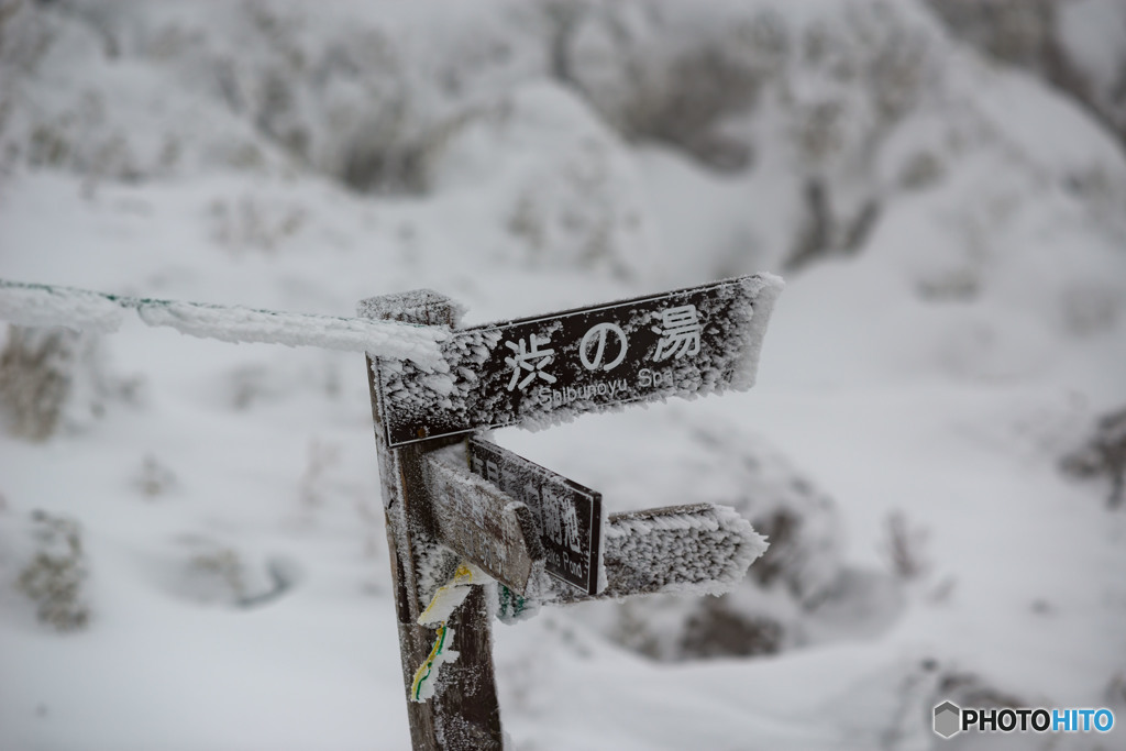 八ヶ岳 賽の河原3267