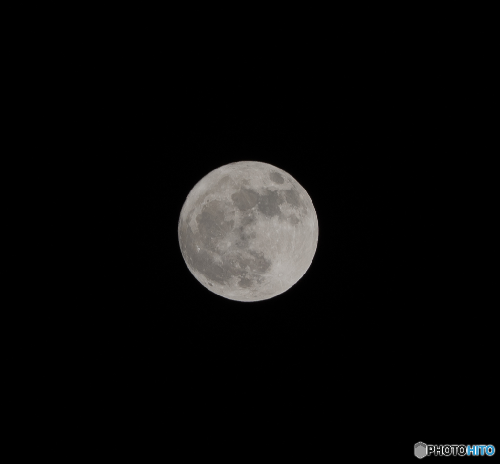 DSC_2155-2