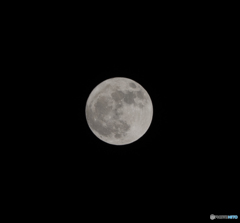 DSC_2155-2