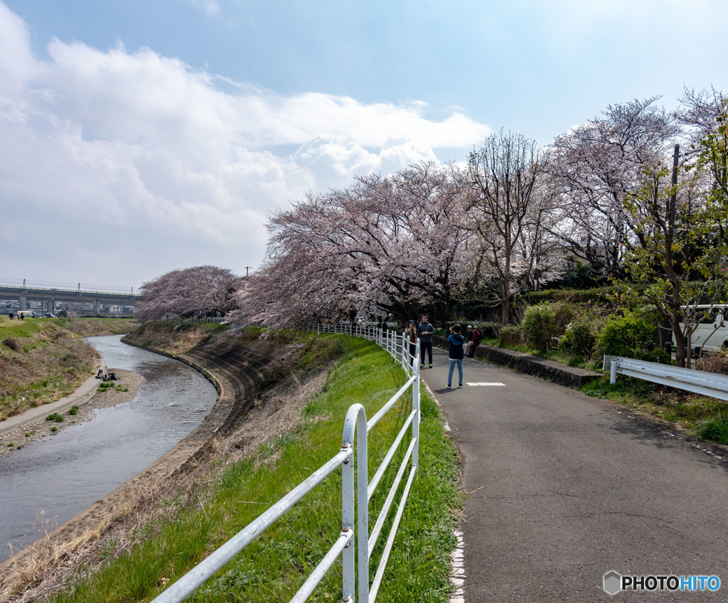 DSC_1869-1
