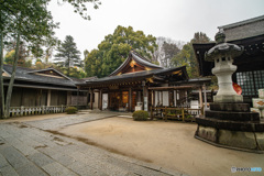 DSC00727-1