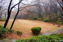 DSC00345-2