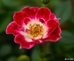 DSC_3589-2