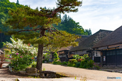 DSC_1102-2