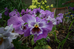 DSC00256