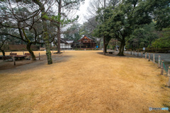 DSC00717-1