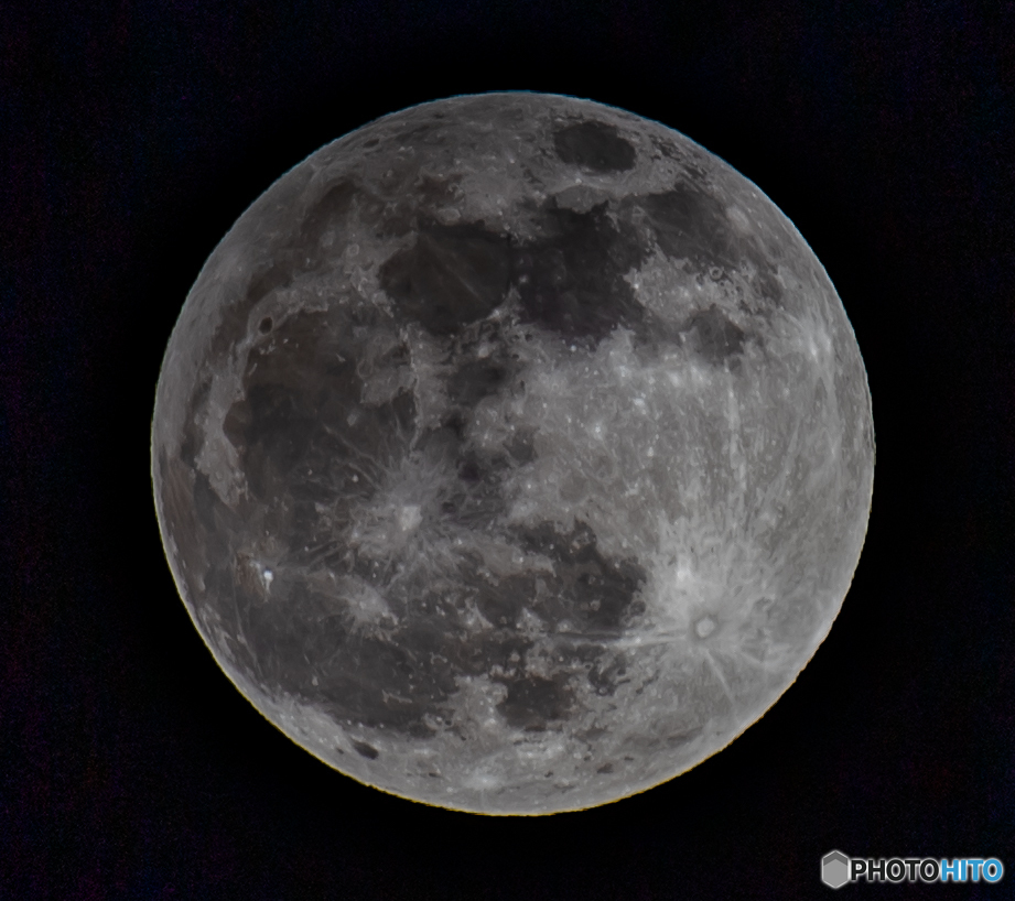 DSC_0195-1-2
