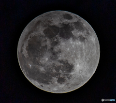 DSC_0195-1-2