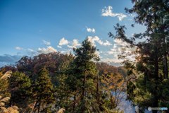 DSC_1743-1