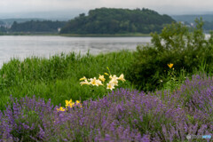 DSC00539-1