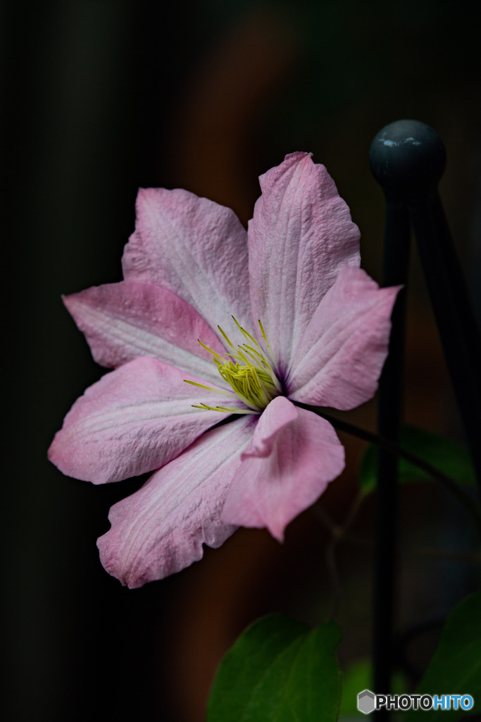 DSC_0754-1