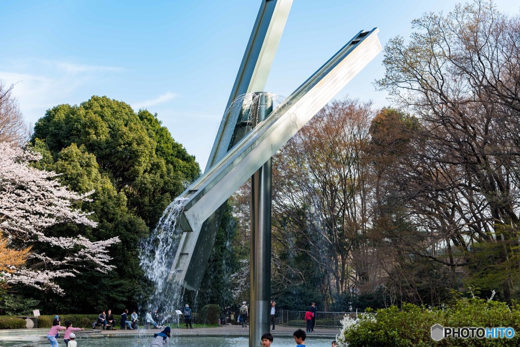 DSC_2937-2