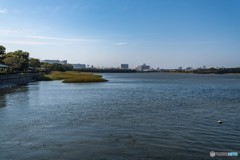 DSC_4229-1