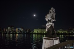 DSC_0074-2
