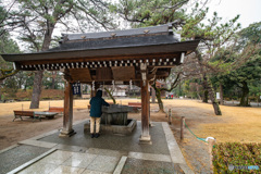 DSC00732-1