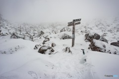 八ヶ岳 賽の河原3261