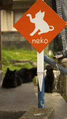黒い三連猫