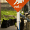黒い三連猫