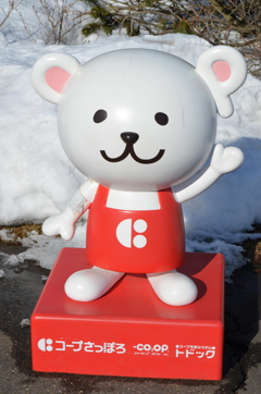 白クマあらわる！