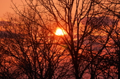 湿原の夕焼け