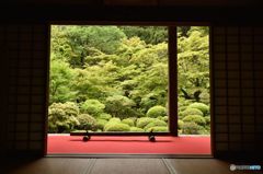 湖東三山　金剛輪寺2