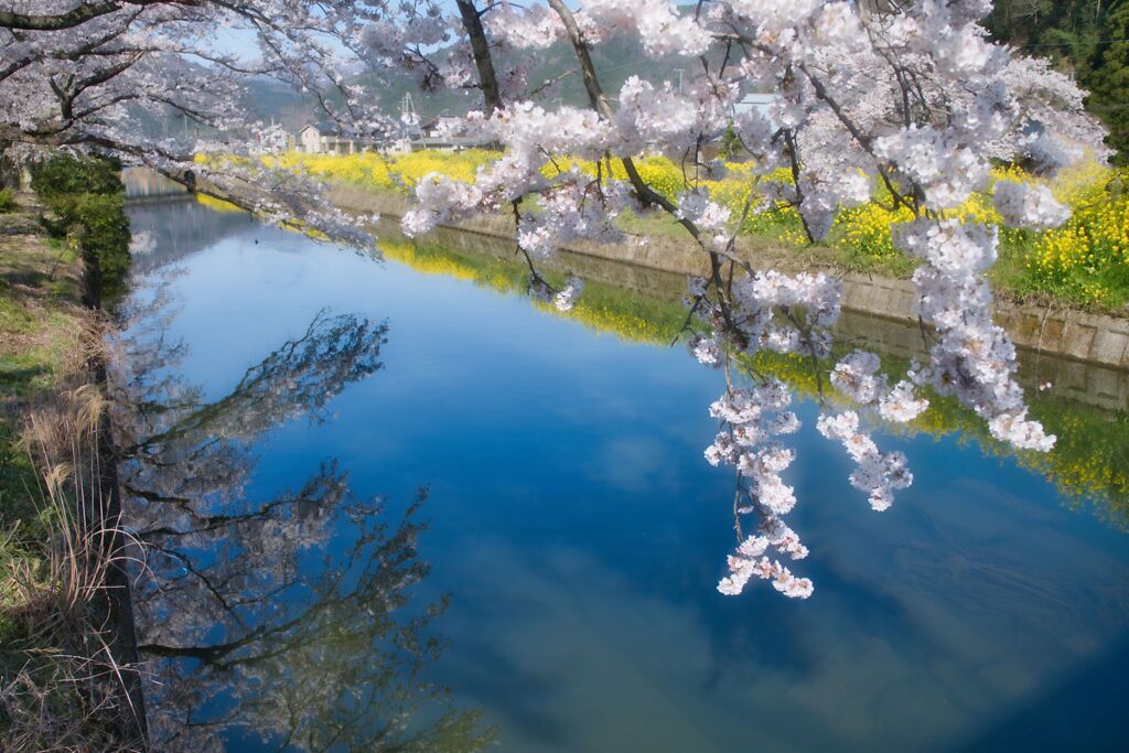 余呉湖Ⅰ