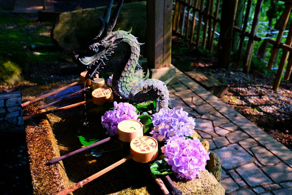 虹色ドラゴン