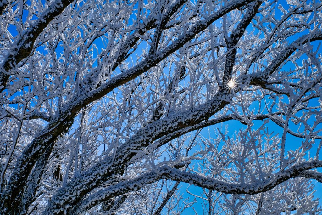 丹澤雪景Ⅴ
