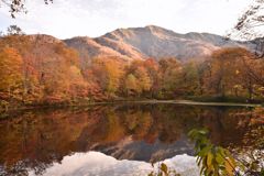 刈込池の紅葉